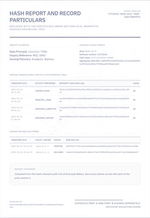 The hash report for a test visitor, listing the chain and the stored consent records.